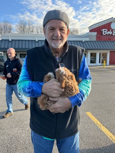 Denver, a Cavapoo puppy from Pawrade