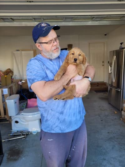 Davis, a Golden Retriever puppy from Pawrade