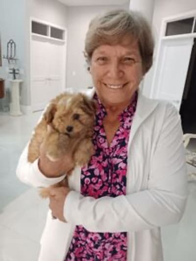 Samuel, a Aussiedoodle puppy from Pawrade