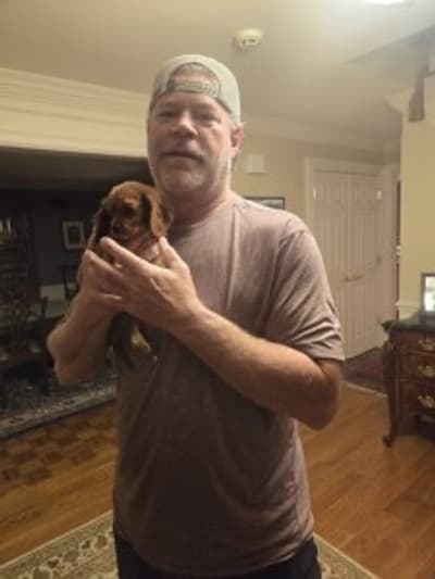 Mack, a Cavalier King Charles Spaniel puppy from Pawrade