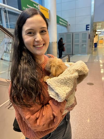 Emelia, a Malti Poo - Maltipoo puppy from Pawrade