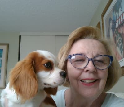 Beaumont, a Cavalier King Charles Spaniel puppy from Pawrade