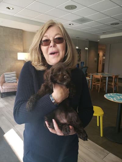 Aubrie, a Cocker Spaniel puppy from Pawrade