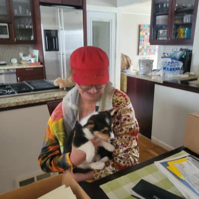 Banks, a Corgi, Pembroke Welsh puppy from Pawrade