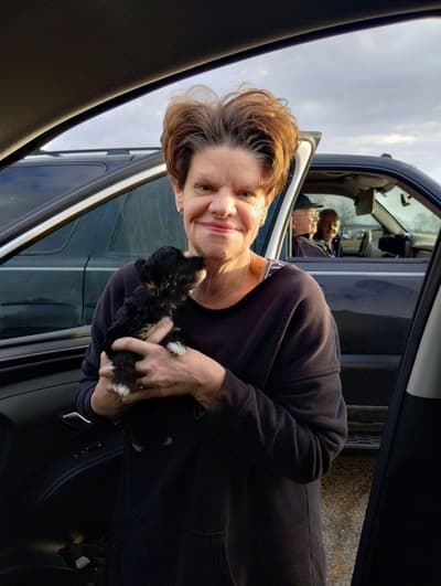 Alexander, a Yorkiepoo - Yorkie Poo puppy from Pawrade