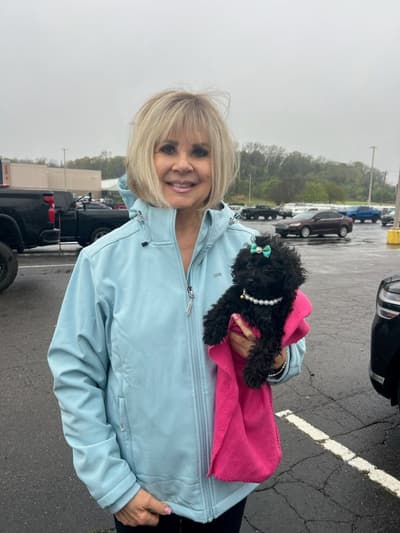 Brynn, a Poodle, Toy puppy from Pawrade