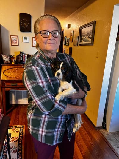 Eddie, a Cavalier King Charles Spaniel puppy from Pawrade
