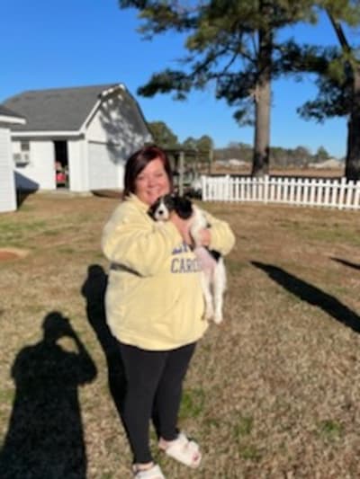 Gustave, a Cavalier King Charles Spaniel puppy from Pawrade