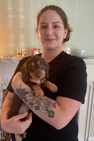 Annie, a Dachshund, Mini puppy from Pawrade