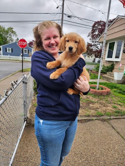 Katherine, a Golden Retriever puppy from Pawrade