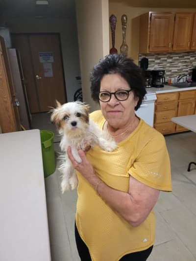Wendy, a Lhasa Apso puppy from Pawrade