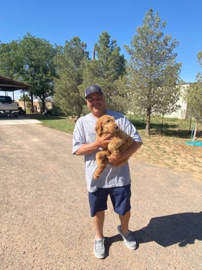 Gage, a Goldendoodle puppy from Pawrade