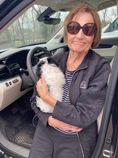 Molly, a Yorkiepoo - Yorkie Poo puppy from Pawrade