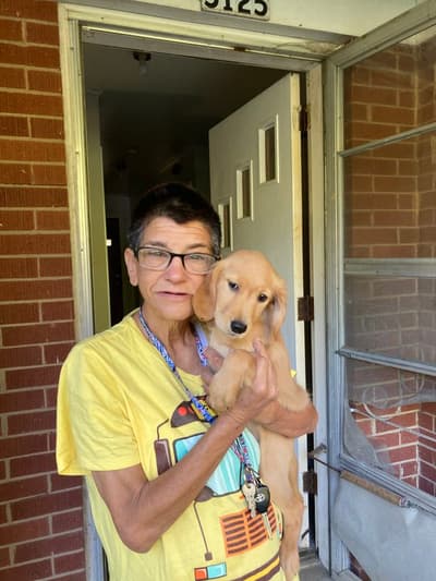 Penny, a Golden Retriever puppy from Pawrade