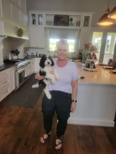 Ethan, a Bernedoodle puppy from Pawrade