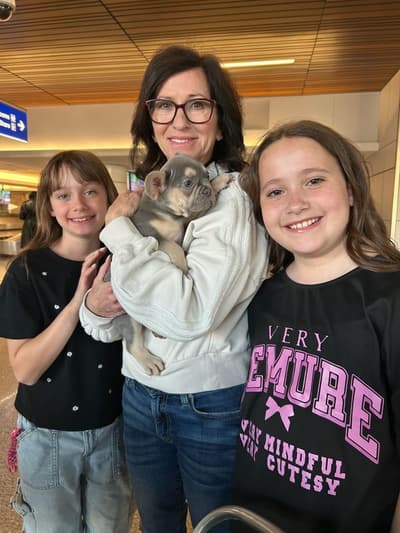 Nell, a French Bulldog puppy from Pawrade