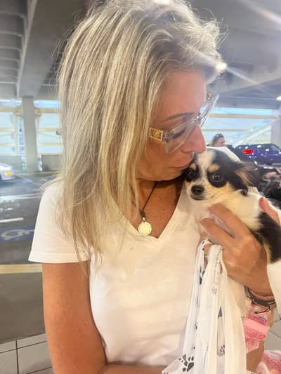 Dent, a Chihuahua puppy from Pawrade