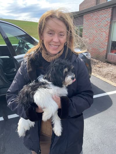 Felicia, a Cavachon puppy from Pawrade