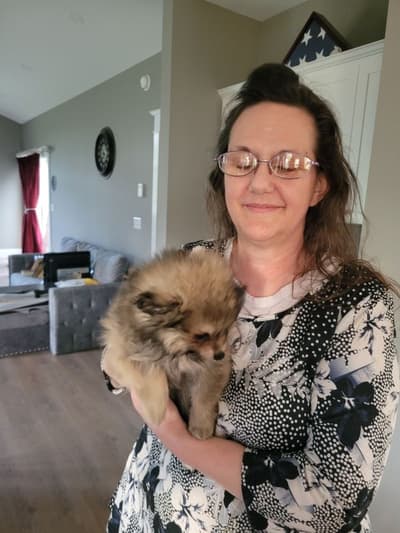 Thorston, a Pomeranian puppy from Pawrade