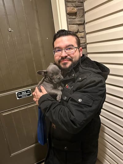 Kenneth, a French Bulldog puppy from Pawrade
