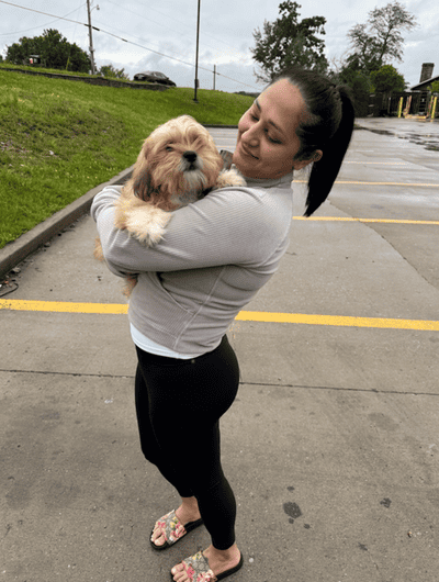 Yani, a Shih Tzu puppy from Pawrade