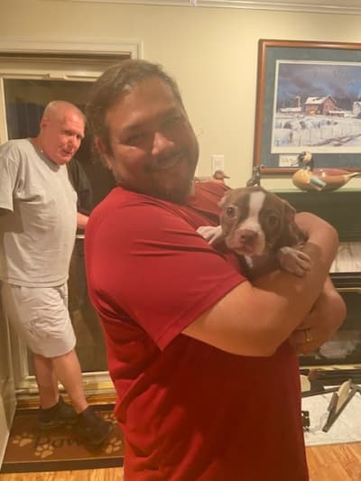 Miss Lula, a Boston Terrier puppy from Pawrade