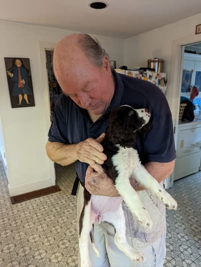 Teeter, a English Springer Spaniel puppy from Pawrade