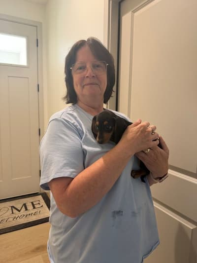 Cerise, a Dachshund, Mini puppy from Pawrade
