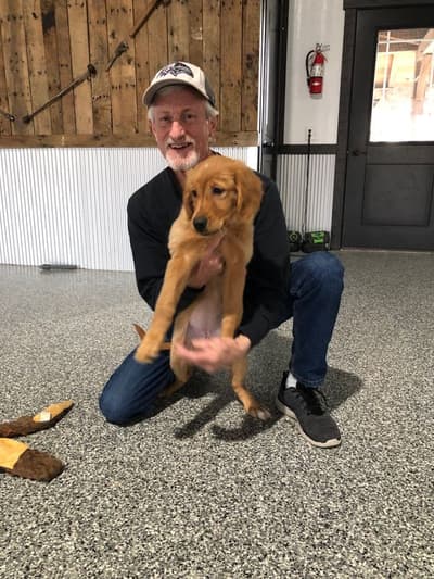 Emmy, a Golden Retriever puppy from Pawrade