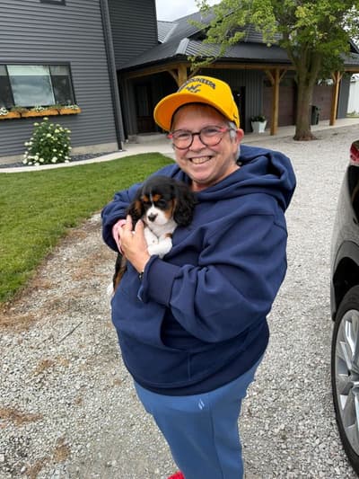 Paisley, a Cavalier King Charles Spaniel puppy from Pawrade