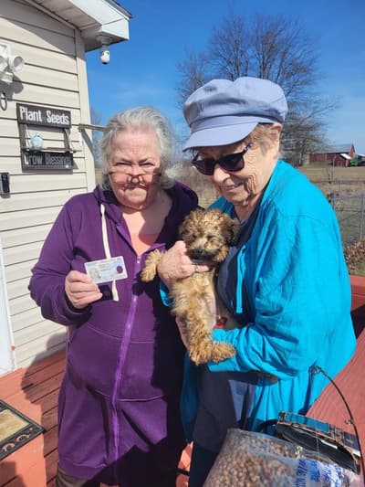 Kinsley, a Poodle, Miniature puppy from Pawrade