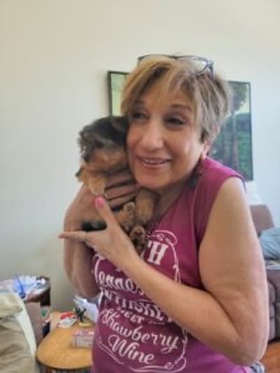 Maria, a Yorkshire Terrier - Yorkie puppy from Pawrade