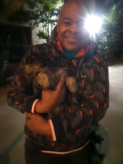 Eeyore, a Silky Terrier puppy from Pawrade