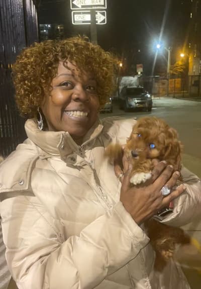 Victoria, a Cavapoo puppy from Pawrade
