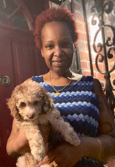 Elias, a Poodle, Miniature puppy from Pawrade