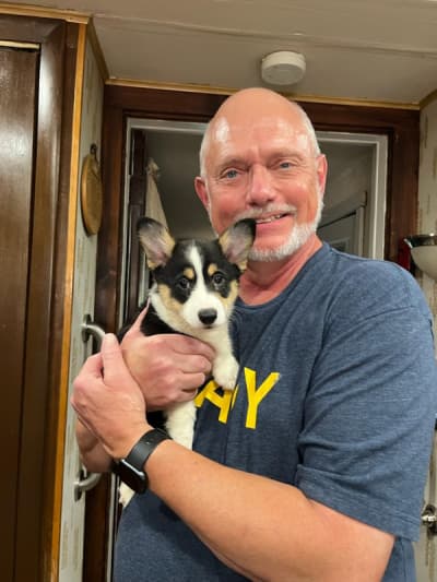 Emelia, a Corgi, Pembroke Welsh puppy from Pawrade