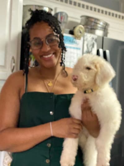 Flora, a Sheepadoodle puppy from Pawrade