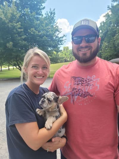 Dalton, a French Bulldog puppy from Pawrade