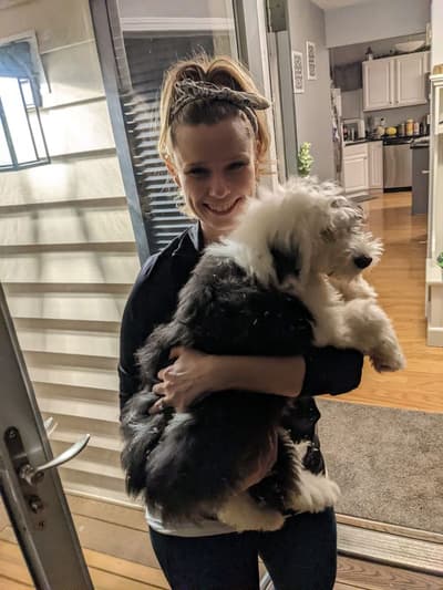 Carter, a Sheepadoodle puppy from Pawrade