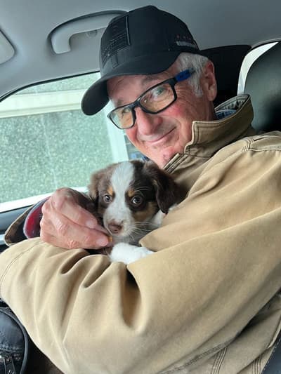 Destiny, a Miniature Australian Shepherd puppy from Pawrade