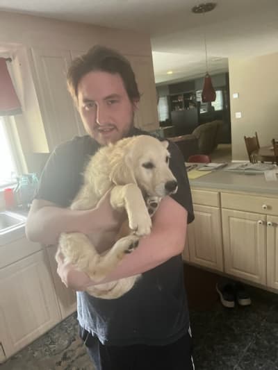 Ziva, a English Golden Retriever puppy from Pawrade