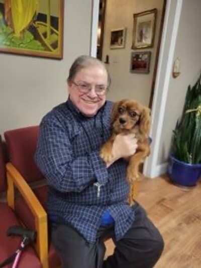 Liam, a Cavalier King Charles Spaniel puppy from Pawrade
