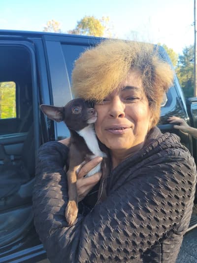 Wonka, a Chihuahua puppy from Pawrade