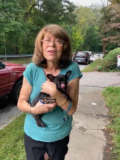 Finn, a Frenchton puppy from Pawrade