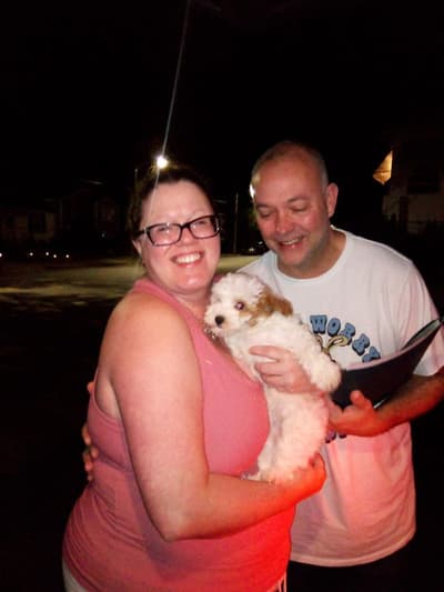 Hilaria, a Cavapoo puppy from Pawrade