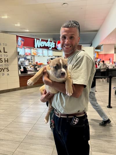 Gozen, a American Bully puppy from Pawrade