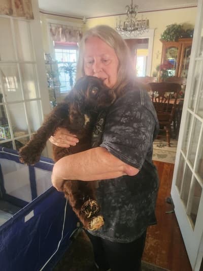 Ralph, a Cocker Spaniel puppy from Pawrade