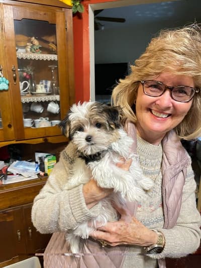 Adelia, a Morkie / Yorktese puppy from Pawrade