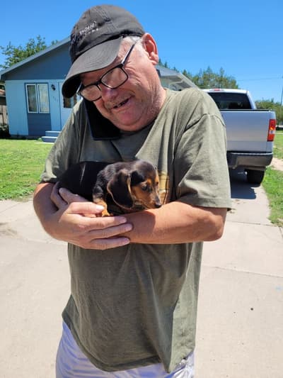 Brooke, a Dachshund, Mini puppy from Pawrade