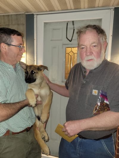 Thiago, a German Shepherd puppy from Pawrade